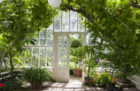 free Littlefield orangery quotes
